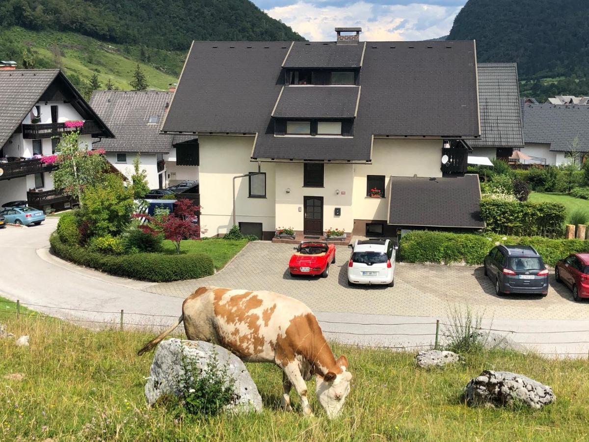 Apartment In The Heart Of Nature Bohinj Dış mekan fotoğraf